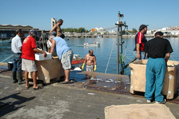 foto lossen vissersboten